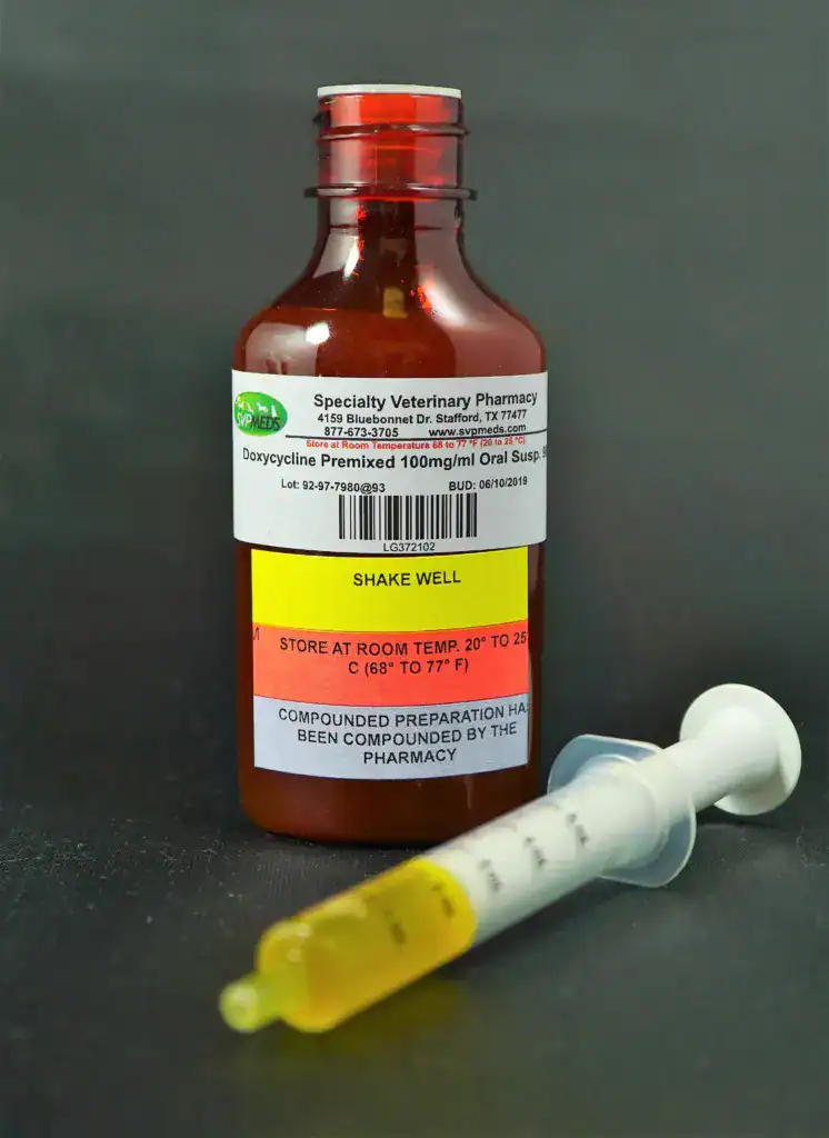Buy Doxycycline for Cats